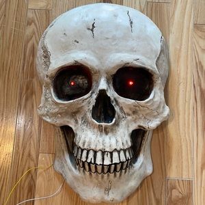 Large skeleton head with light up eyes